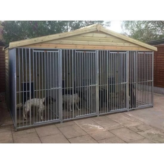  Dog Kennels