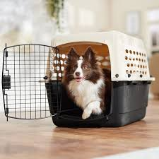  Dog Kennels