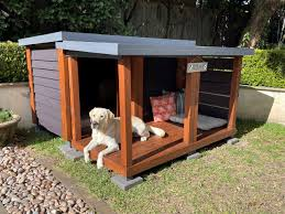  Dog Kennels